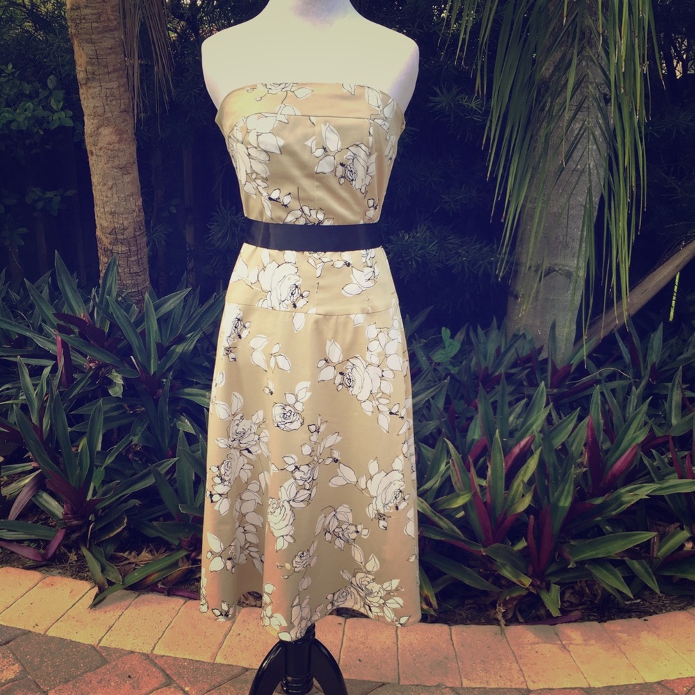 Dress by Notice Size 6